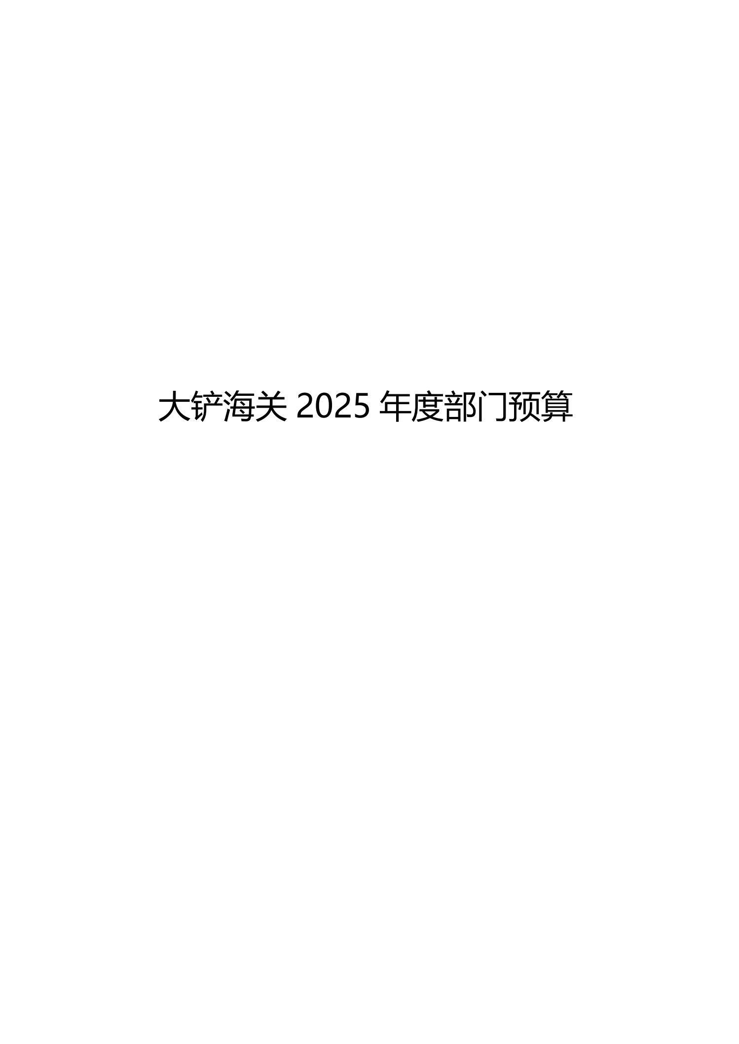 大铲海关2025年预算公开_00