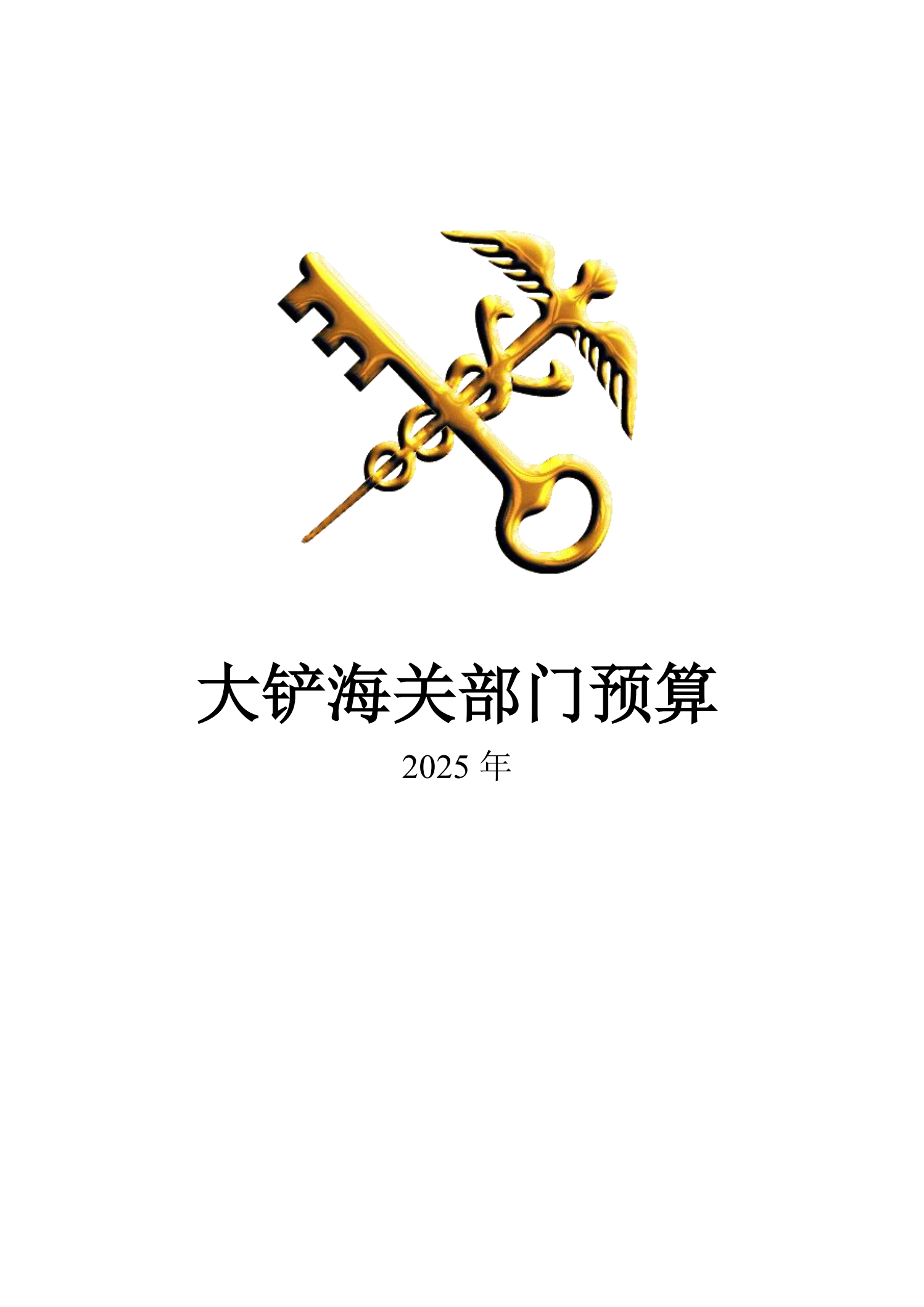 大铲海关2025年预算公开_01