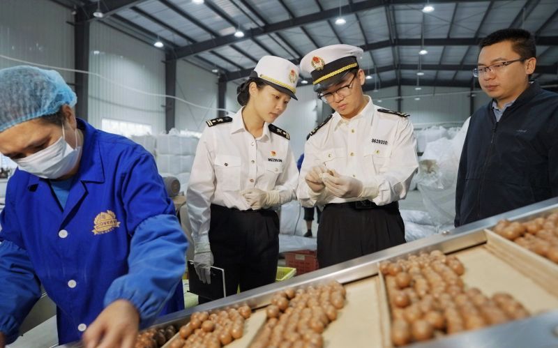 海关关员在云南迪思企业集团坚果有限公司对出口坚果进行监管 盈江海关供图