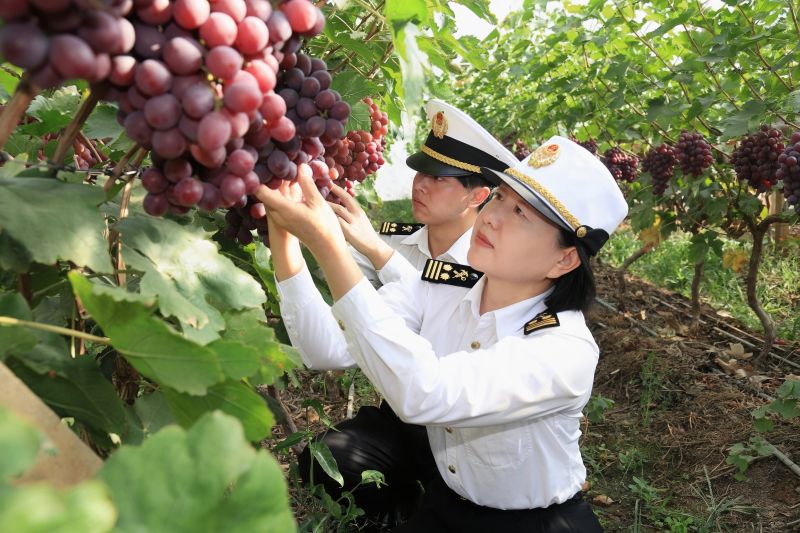 金沙江畔“葡”香飘远洋——大理海关服务农产品远销80个国家和地区