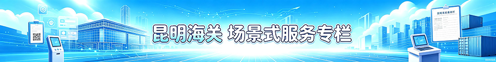 昆明海关场景式服务