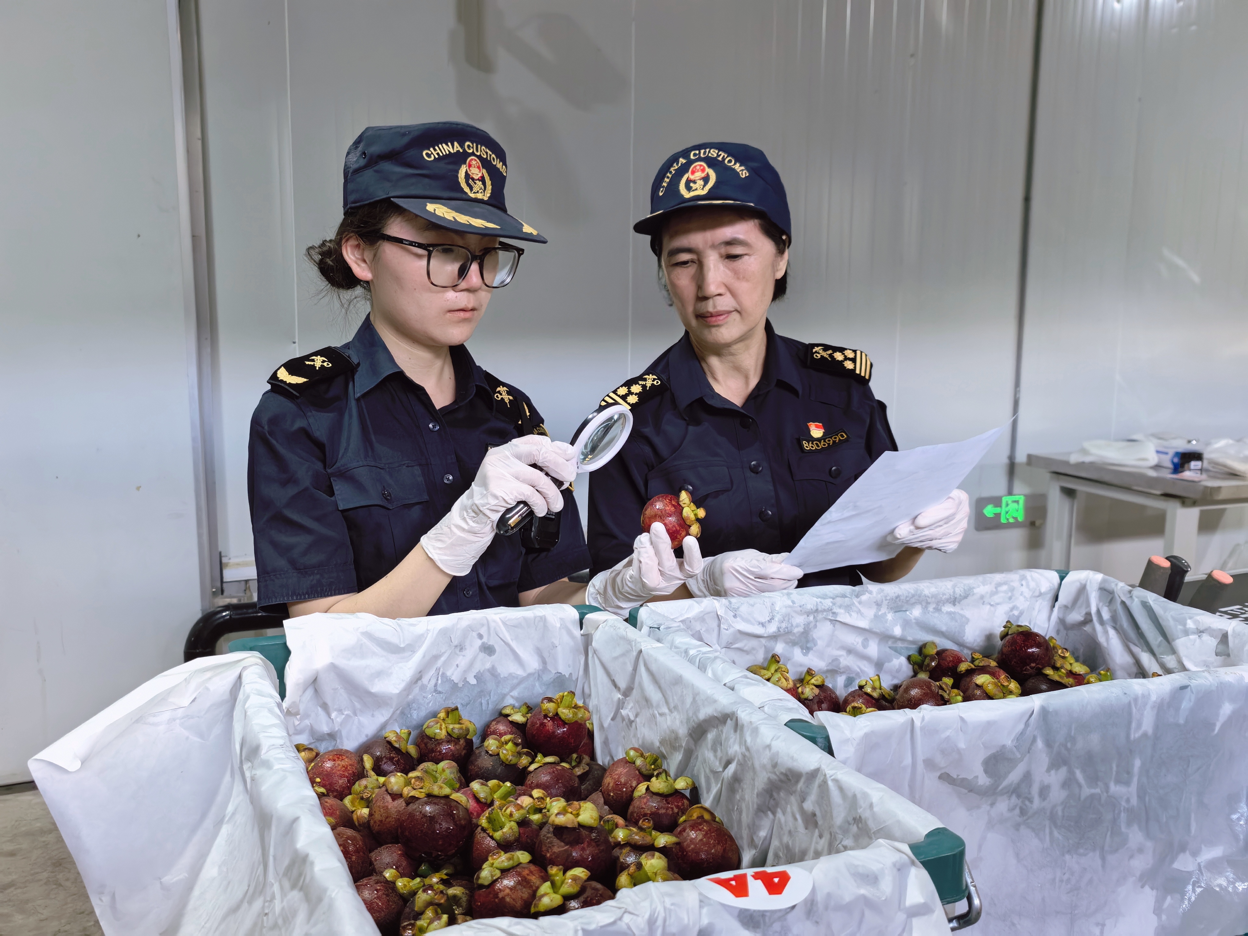 澜沧江—湄公河国际航道进出口货运量值双增 泰国榴莲、山竹26小时内直达中国