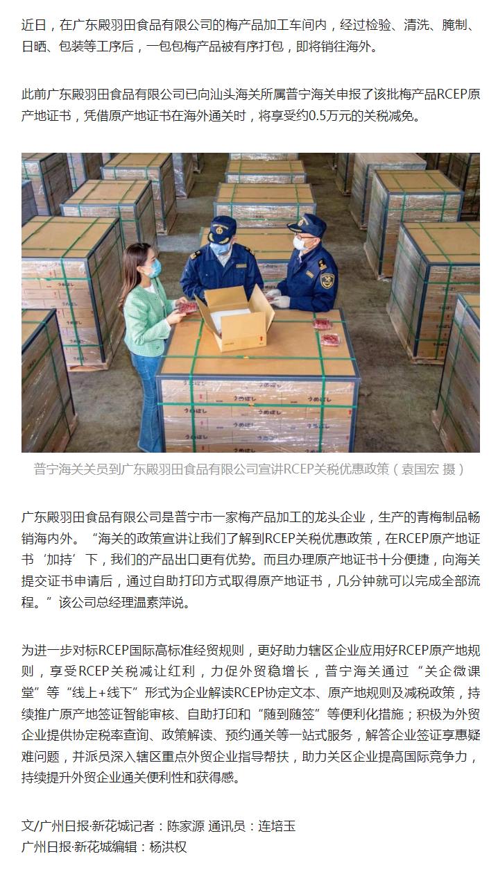 揭阳普宁：借RCEP东风助青梅畅销海外12-02