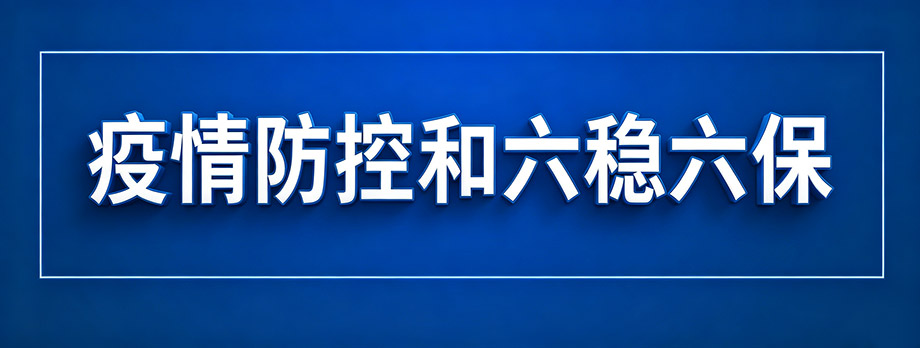 疫情防控和六稳六保
